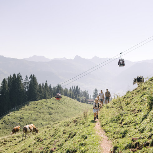 Hike on the Hahnenkamm near the Streif in Kitzbühel