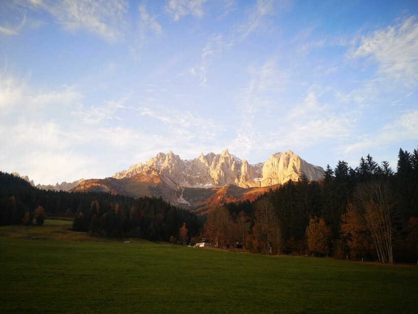 Blick auf den Wilden Kaiser Blick über eine grüne Wiese auf ein bewaldetes Tal und das schroffe Bergmassiv des Wilden Kaisers.