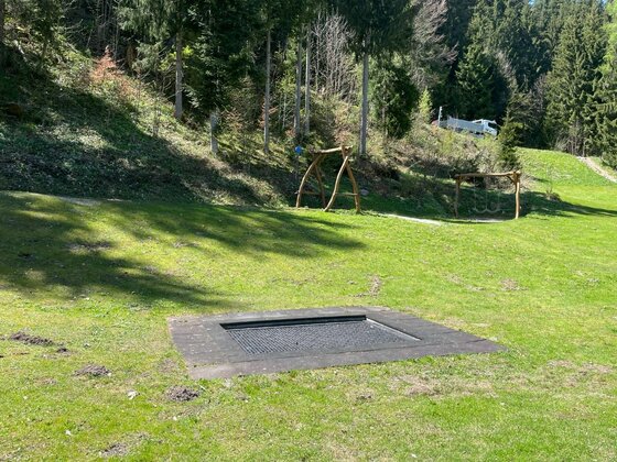 Ein in den Boden eingelassenes Trampolin auf einer grünen Wiese vor einem Waldrand.