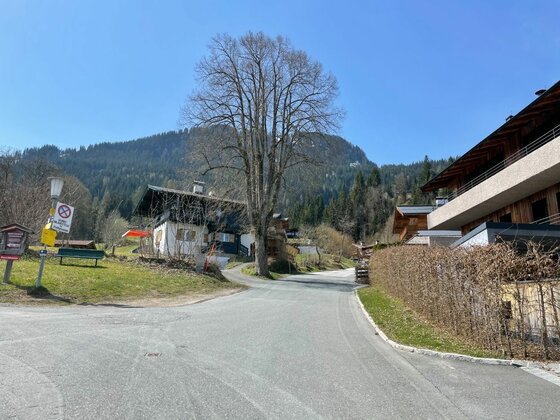 Asphaltierte Straße in einer Siedlung mit Wohnhäusern, einem großen Baum und bewaldeten Bergen im Hintergrund.