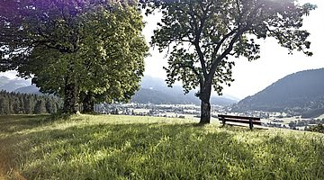 Landscape around Aurach by Kitzbühel 