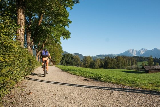Radfahrer auf Schotterweg Eine Person fährt mit dem Fahrrad auf einem Schotterweg an einer Allee vorbei in Richtung Berge.