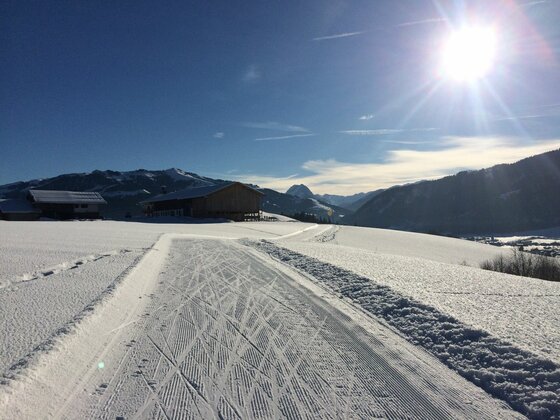 Langlaufloipe Bichlach im Winter Präparierte Langlaufloipe in verschneiter Hügellandschaft mit Holzhütten und Bergen im Hintergrund bei Sonnenschein.