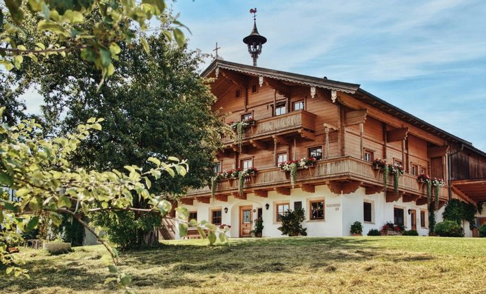 Apartment Wachinghof