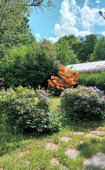 Garten
