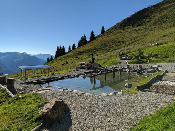 Kneippanlage am Kitzbüheler Horn Ein flaches Kneippbecken mit Holzsteg auf einer Almwiese vor einem Berghang.