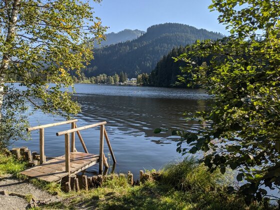 Holzsteg am Ufer eines Sees mit bewaldeten Bergen im Hintergrund.