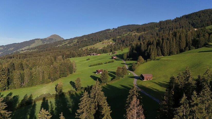 Almwiesen am Ruetzenhof Luftaufnahme von grünen Almwiesen mit Holzhütten, einem asphaltierten Weg und bewaldeten Berghängen.