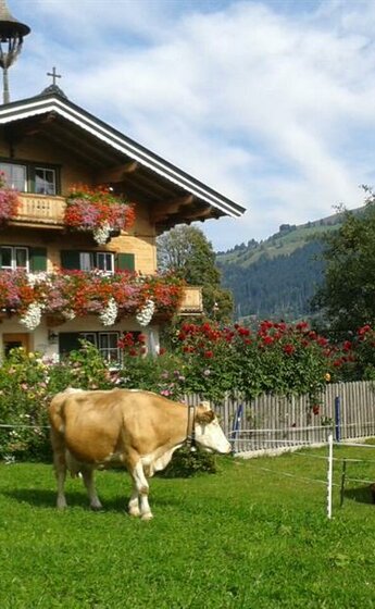 Lindenhof_Kitzbühel_3