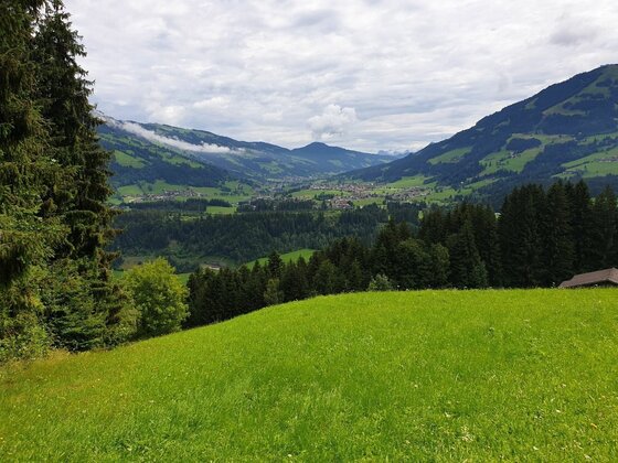 Blick ins Tal bei Lend Blick über eine grüne Wiese auf ein bewaldetes Tal mit Bergen im Hintergrund unter bewölktem Himmel.