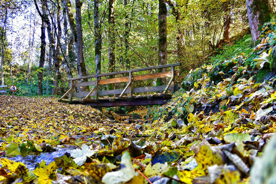 Holzbrücke im Herbstwald Holzbrücke über einen Bachlauf in einem herbstlichen Wald mit gelbem Laub am Boden.