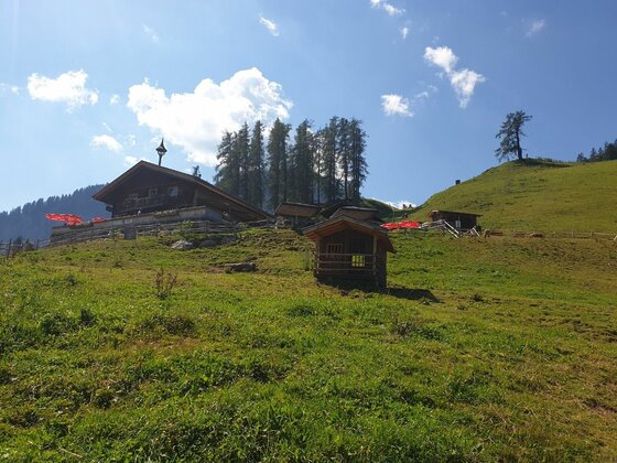 Berghütte aus Holz auf einer grünen Almwiese unter blauem Himmel.