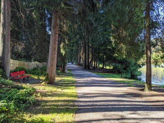 Waldweg am Schwarzsee Schattiger Waldweg am Seeufer mit einer roten Sitzbank unter hohen Nadelbäumen.