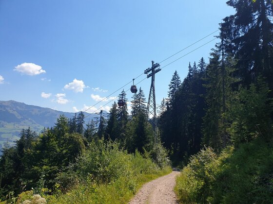 Gondelbahn am Kreuzweg Eine Gondelbahn überquert einen geschotterten Waldweg vor bewaldeten Bergen unter blauem Himmel.