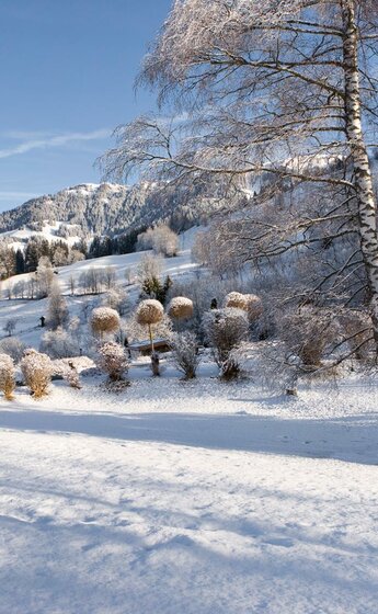 Außenaufnahme_Baum_Berge