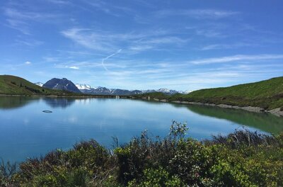 Bergsee am Pengelstein Ein stiller Bergsee umgeben von grünen Hängen und schneebedeckten Gipfeln unter blauem Himmel.
