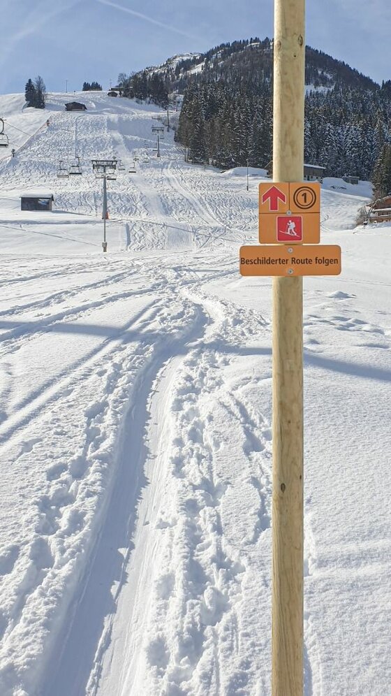 pistentour_kitzski_gaisberg_04_highres (c)snowhow.jpg