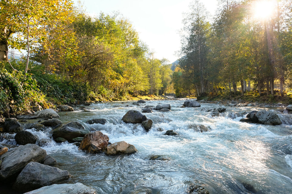 River in Jochberg with trees and sunshine