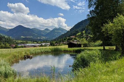 Teich im Malerndörfl Kleiner Teich auf einer grünen Wiese vor einer Bergkulisse mit bewaldeten Hängen und blauem Himmel.