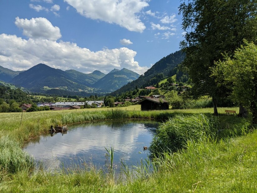 Teich im Malerndörfl Kleiner Teich auf einer grünen Wiese vor einer Bergkulisse mit bewaldeten Hängen und blauem Himmel.