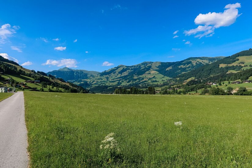 Auberg Trail Talblick Asphaltierter Weg führt an einer grünen Wiese vorbei auf bewaldete Berge unter blauem Himmel zu.