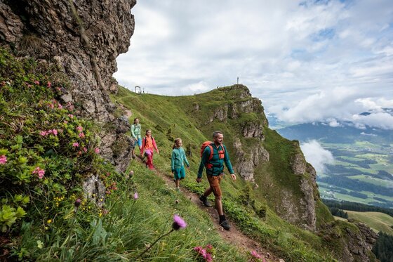 Eine vierköpfige Familie wandert auf einem schmalen Bergpfad entlang einer Felswand mit Alpenrosen.
