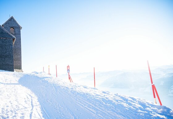 Winter Gipfel Hohe Salve 2023@Alexander Amer-1865.jpg