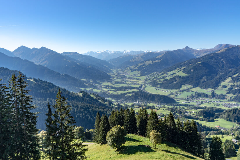 The view from the Bichlalm across the Kitzbühel Alps