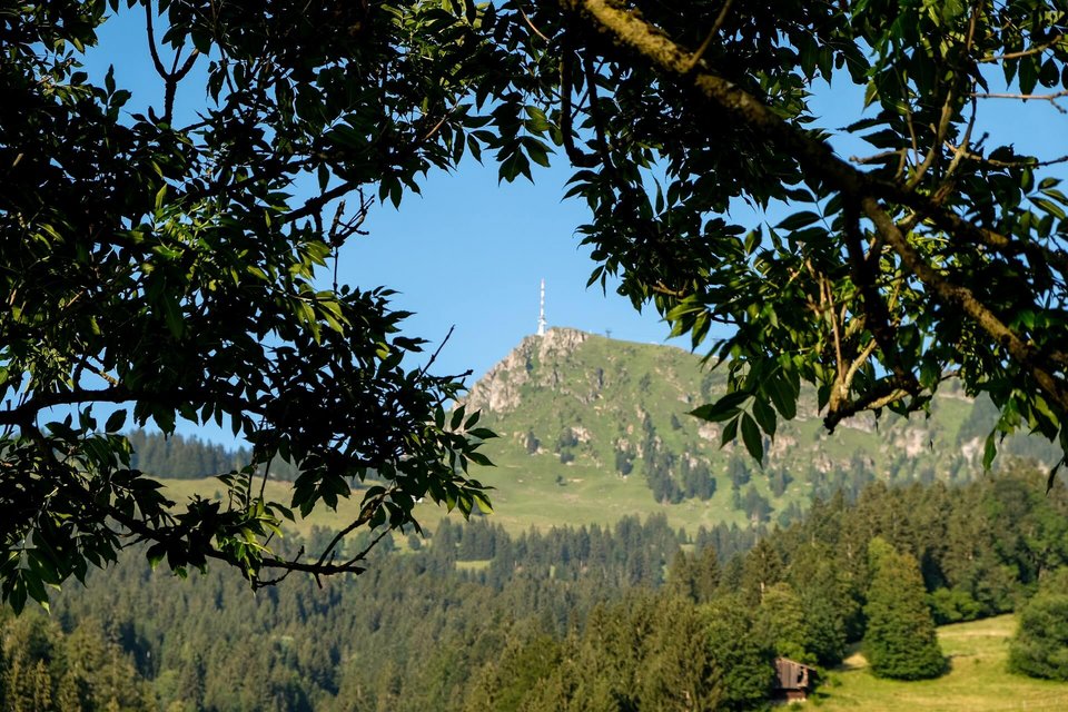 Ausblick auf Berg