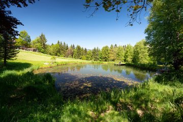Weiher