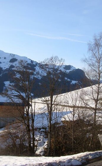Ansicht Winter mit Hahnenkamm