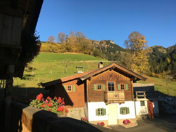Traditionelles Holzhaus mit Balkon vor grünen Almwiesen und bewaldeten Bergen unter blauem Himmel.