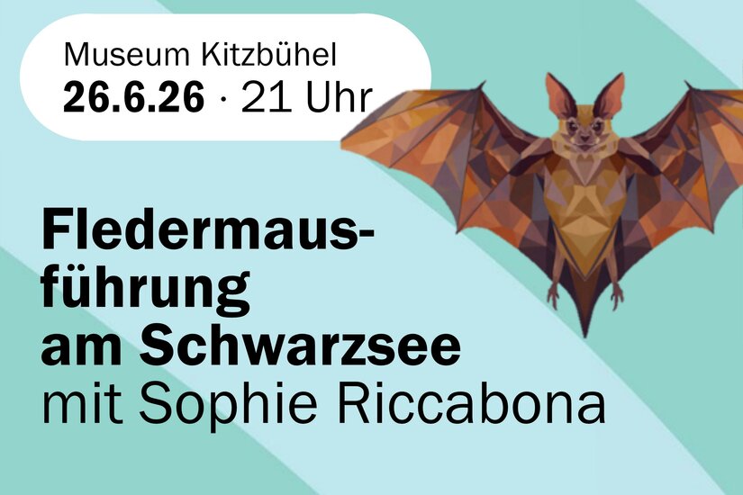 Fledermaus Eine grafische Ankündigung für eine Fledermausführung am Schwarzsee. Das Event findet am 26. Juni 2026 um 21 Uhr mit Sophie Riccabona statt.