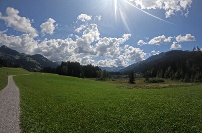 Wanderweg am Lebenberg Ein Schotterweg führt über eine grüne Wiese vor bewaldeten Bergen unter sonnigem Himmel.