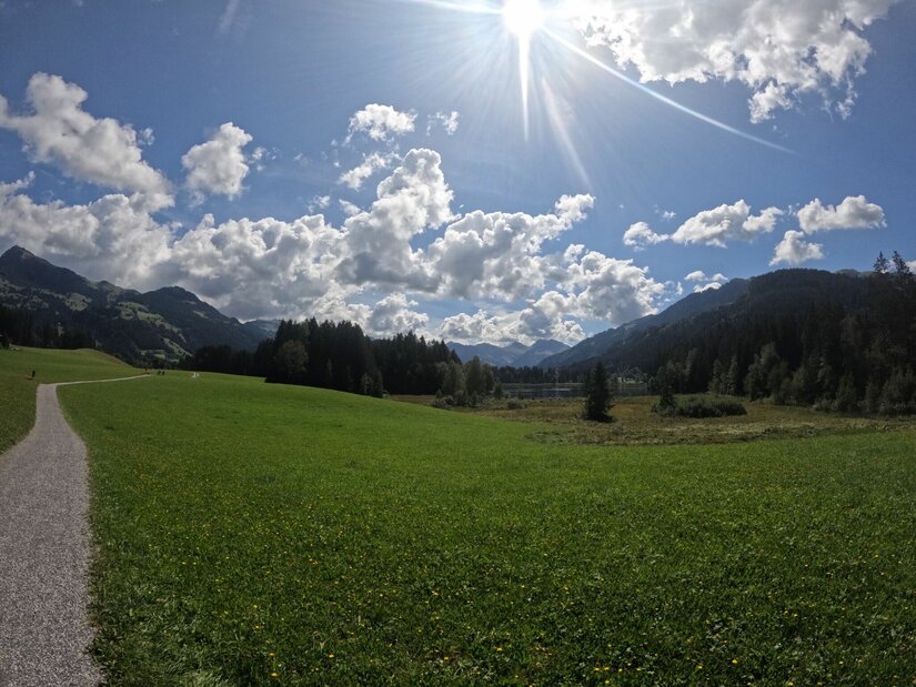 Wanderweg am Lebenberg Ein Schotterweg führt über eine grüne Wiese vor bewaldeten Bergen unter sonnigem Himmel.