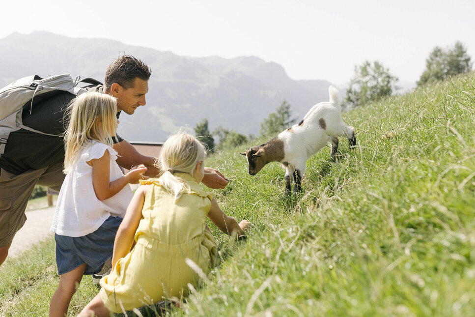 Aurach Wildlife Park in Kitzbühel