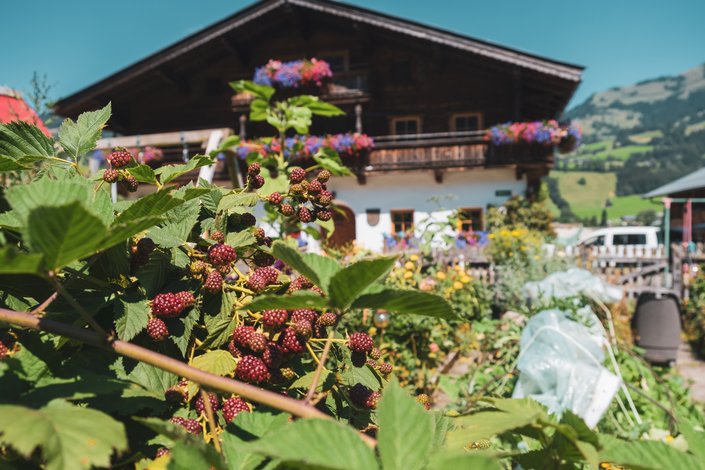Blick auf Haus