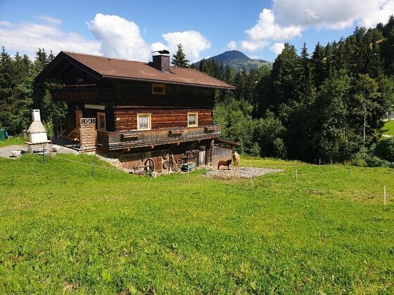 Zweistöckiges Holzhaus auf einer grünen Wiese vor bewaldeten Bergen unter blauem Himmel.