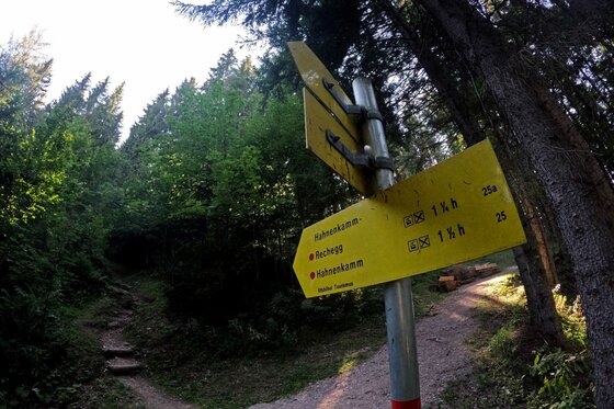 Wanderwegweiser am Rechegg Gelber Wanderwegweiser an einer Weggabelung im Wald mit Zeitangaben zum Hahnenkamm und Rechegg.