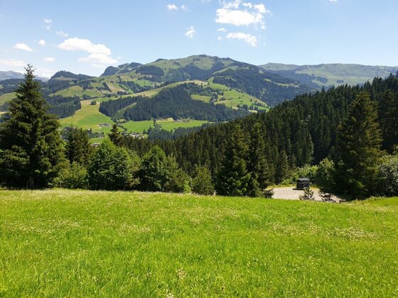Blick auf den Gaisberg Grüne Wiese im Vordergrund mit Blick auf bewaldete Berge und Hügel unter blauem Himmel.