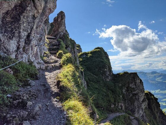 Horn Gipfel-Höhenweg Felsabschnitt Schmaler Bergpfad an einer Felswand mit Drahtseilsicherung und Holzstufen unter blauem Himmel.