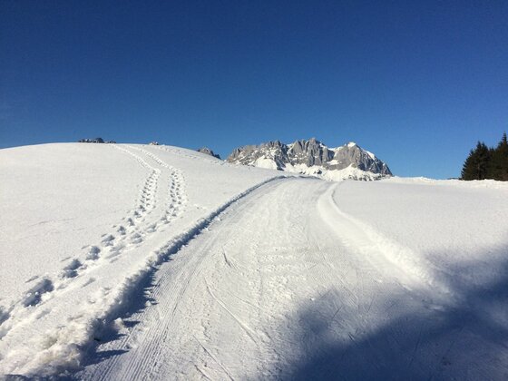 Präparierte Langlaufloipe und Fußspuren im Schnee vor einem Gebirgsmassiv unter blauem Himmel.