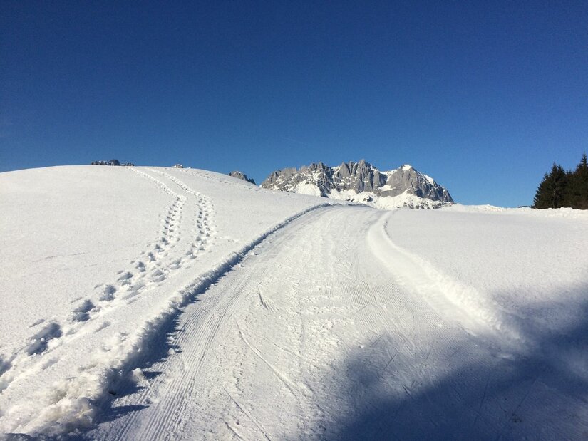 Loipe Bichlach im Winter Präparierte Langlaufloipe und Fußspuren im Schnee vor einem Gebirgsmassiv unter blauem Himmel.