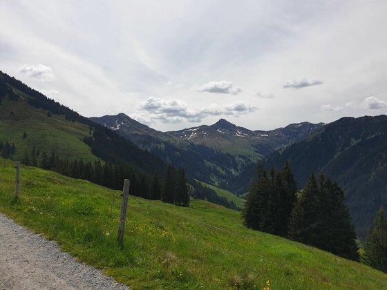 Panoramaweg mit Bergblick Blick von einem Schotterweg auf grüne Almwiesen und bewaldete Berge unter bewölktem Himmel.