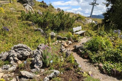 Ein schmaler Pfad führt durch einen alpinen Steingarten mit Holzbank und Seilbahnmast im Hintergrund.