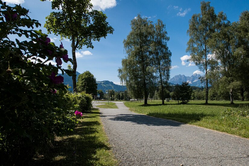 Ganslern Trail Zugangsweg Asphaltierter Weg zwischen Wiesen und Bäumen mit Blick auf Berge im Hintergrund.