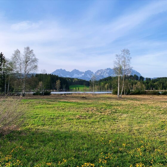 Wiese mit See und Wald im Vordergrund vor einem schroffen, teilweise schneebedeckten Gebirgsmassiv unter blauem Himmel.