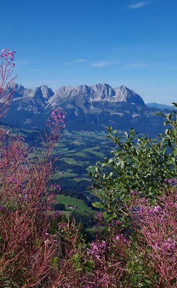 Ausblick von Hahnenkamm