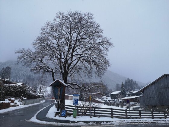 Römerweg im Winter Verschneite Straße in einem Dorf mit einem großen Baum und einem Marterl im Vordergrund.