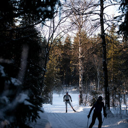 Cross-country skiing courses in Kitzbühel